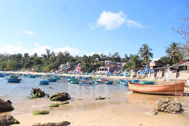 Bãi trong là nơi neo đậu của tàu thuyền, được che chắn bởi lớp lũy đá. Bãi trong là nơi neo đậu của tàu thuyền, được che chắn bởi lớp lũy đá.