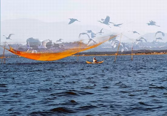 Đầm Thị Nại. Nguồn: Du lịch Bình Định Đầm Thị Nại. Nguồn: Du lịch Bình Định