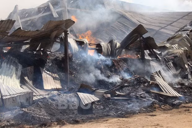 Củi và dăm bào bị lửa thiêu rụi.