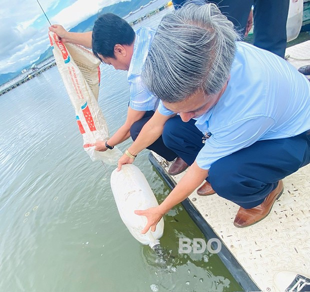 Các đại biểu thả cá giống xuống đầm Trà Ổ. Ảnh: N.T Các đại biểu thả cá giống xuống đầm Trà Ổ. Ảnh: N.T
