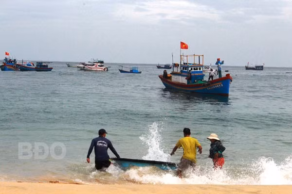 Nhịp sống của làng chài Nhơn Lý được thể hiện qua hoạt động thường nhật của cư dân miền biển. -Trong ảnh: Ra bến đón thuyền về mỗi chiều.