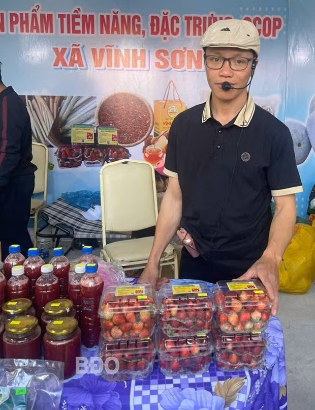 Anh Bùi Ngọc Thanh quảng bá sản phẩm dâu tây được trồng ở xã Vĩnh Sơn, huyện Vĩnh Thạnh tại các phiên chợ, hội chợ trong toàn tỉnh. Ảnh: HẢI YẾN