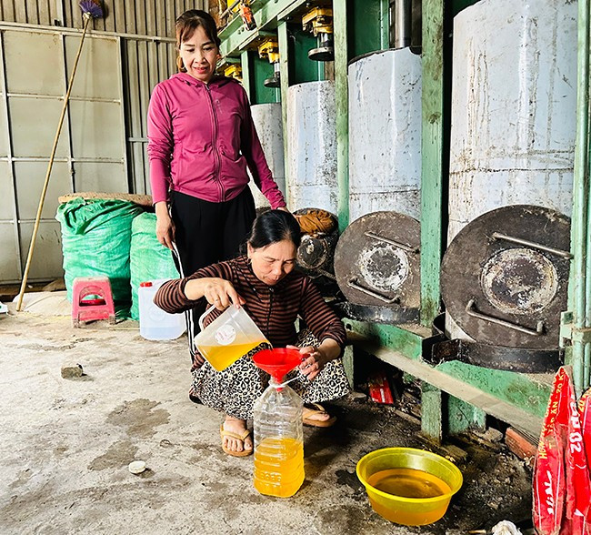 Bà Lê Thị Sang (người ngồi, ở thôn Định Quang, xã Vĩnh Quang, huyện Vĩnh Thạnh) nhờ các nguồn vốn vay SXKD tại vùng khó khăn, giải quyết việc làm để đầu tư hệ thống ép dầu phộng, nâng cao hiệu quả kinh tế. Ảnh: T.C