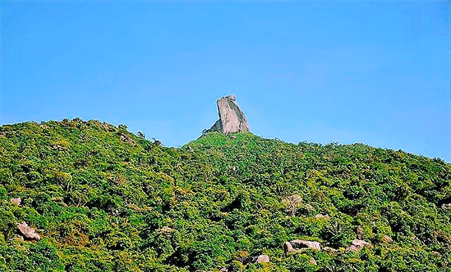 “Bình Ðịnh có núi Vọng Phu/ Có đầm Thị Nại, có Cù Lao Xanh/ Em về Bình Định cùng anh/ Được ăn bí đó nấu canh nước dừa”.