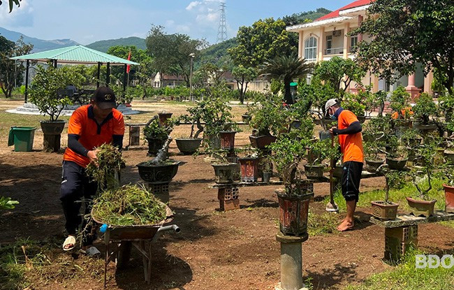 Người cai nghiện tham gia lao động trong quá trình cai nghiện. Ảnh: K.A