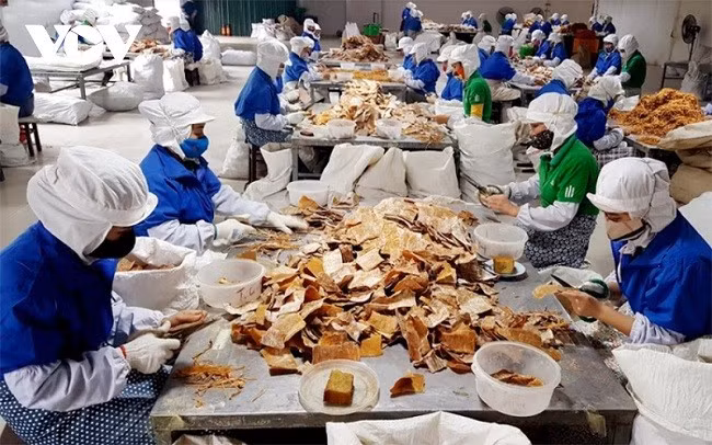 Thường trực Chính phủ yêu cầu thể chế hóa các chủ trương, chính sách tại Nghị quyết 68.