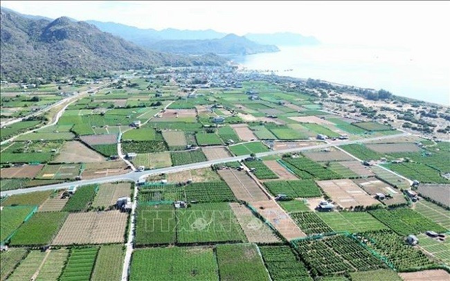 Dự án Nhà máy điện hạt nhân Ninh Thuận 2 dự kiến được xây tại thôn Thái An, xã Vĩnh Hải, huyện Ninh Hải. Ảnh minh họa: Nguyễn Thành/TTXVN Dự án Nhà máy điện hạt nhân Ninh Thuận 2 dự kiến được xây tại thôn Thái An, xã Vĩnh Hải, huyện Ninh Hải. Ảnh minh họa: Nguyễn Thành/TTXVN