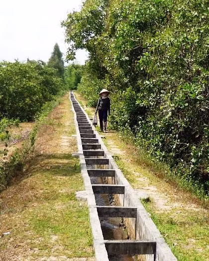 Kênh mương nội đồng đưa nước từ hồ Hội Sơn tưới cho nhiều diện tích hoa màu tại Phù Cát.