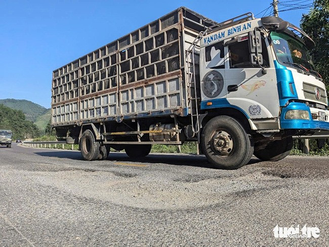 Một "ổ voi" lớn xuất hiện trên mặt đường quốc lộ 19 đoạn dưới chân đèo An Khê thuộc tỉnh Bình Định. Ảnh: TẤN LỰC Một "ổ voi" lớn xuất hiện trên mặt đường quốc lộ 19 đoạn dưới chân đèo An Khê thuộc tỉnh Bình Định. Ảnh: TẤN LỰC