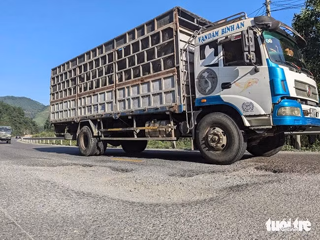 Một "ổ voi" lớn xuất hiện trên mặt đường quốc lộ 19 đoạn dưới chân đèo An Khê thuộc tỉnh Bình Định. Ảnh: TẤN LỰC