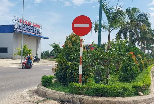 Cây xanh có dáng cao, trồng san sát nhau tại đầu điểm giao cắt làm che khuất tầm nhìn trên đường Long Vân - Long Mỹ. Ảnh: V.LƯU Cây xanh có dáng cao, trồng san sát nhau tại đầu điểm giao cắt làm che khuất tầm nhìn trên đường Long Vân - Long Mỹ. Ảnh: V.LƯU