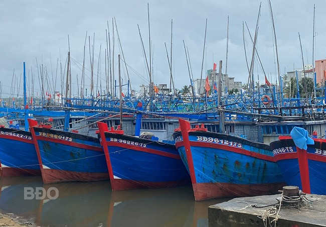 Tàu không đi khai thác, không được neo đậu cố định trước cầu cảng. Ảnh: K.H Tàu không đi khai thác, không được neo đậu cố định trước cầu cảng. Ảnh: K.H