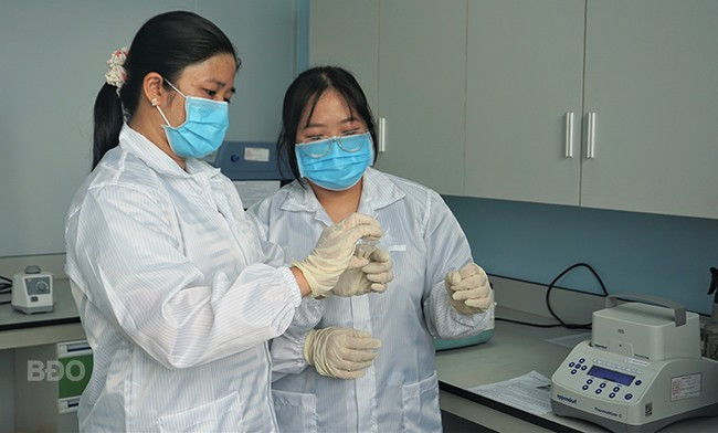 Kỹ thuật viên thao tác PCR và điện di gen trong quy trình định danh gen tại Trạm Nghiên cứu thực nghiệm KH&CN. Ảnh: HỒNG HÀ Kỹ thuật viên thao tác PCR và điện di gen trong quy trình định danh gen tại Trạm Nghiên cứu thực nghiệm KH&CN. Ảnh: HỒNG HÀ