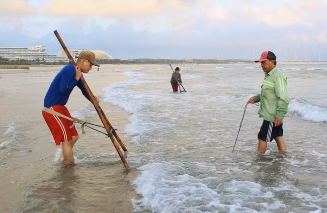 Để cào được nhiều ốc, cha con anh Thao phải dùng lực để cào sâu dưới lớp cát. Ảnh: X.Q