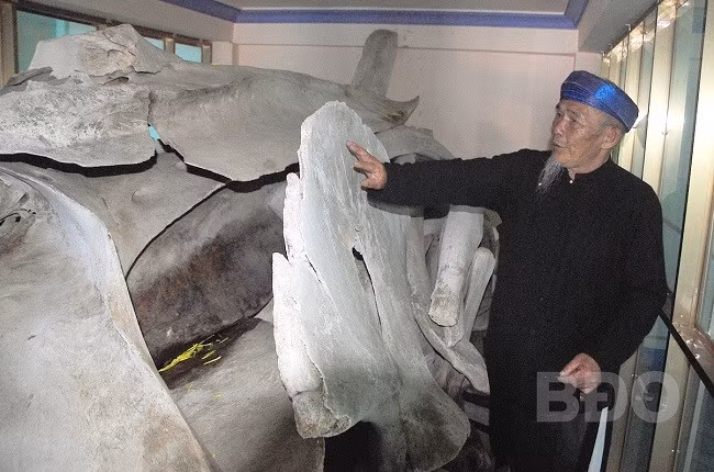 Bên trong Lăng Ông Đại ở Vĩnh Lợi thờ riêng bộ cốt cá Voi khổng lồ gắn với câu chuyện huyền bí do ngư dân lưu truyền về ông Đại. Ảnh: NGỌC NHUẬN