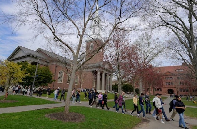 Các sinh viên đi bộ trong khuôn viên Đại học Harvard. Ảnh: REUTERS Các sinh viên đi bộ trong khuôn viên Đại học Harvard. Ảnh: REUTERS