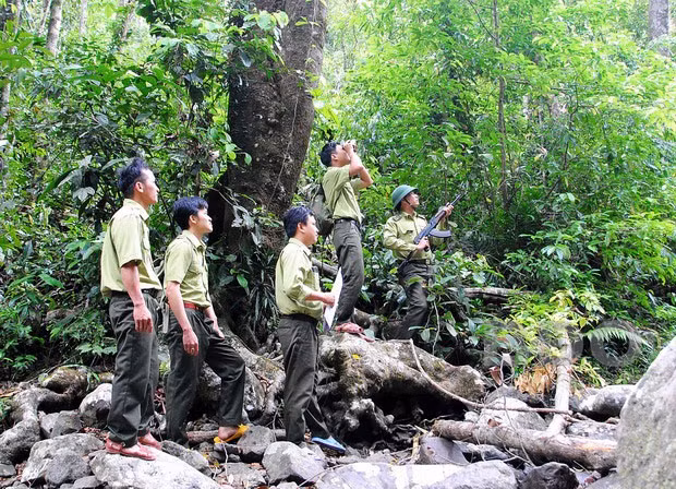 Cán bộ, nhân viên Ban quản lý rừng đặc dụng An Toàn tuần tra bảo vệ rừng nguyên sinh. Cán bộ, nhân viên Ban quản lý rừng đặc dụng An Toàn tuần tra bảo vệ rừng nguyên sinh.