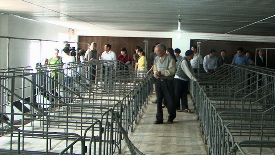 Khu chuồng chăn nuôi Trang trại chăn nuôi heo công nghệ cao của Công ty TNHH thiết bị Phú Hưng.
