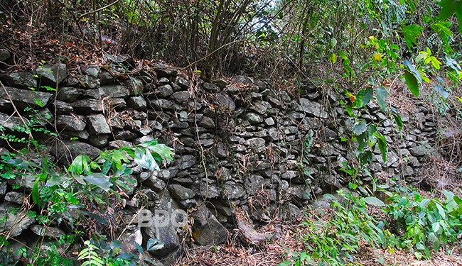 Di tích Trường Lũy Bình Định đoạn qua xã Hoài Sơn, TX Hoài Nhơn. Ảnh: ĐOAN NGỌC Di tích Trường Lũy Bình Định đoạn qua xã Hoài Sơn, TX Hoài Nhơn. Ảnh: ĐOAN NGỌC