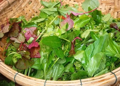 Rau tập tàng đủ loại.