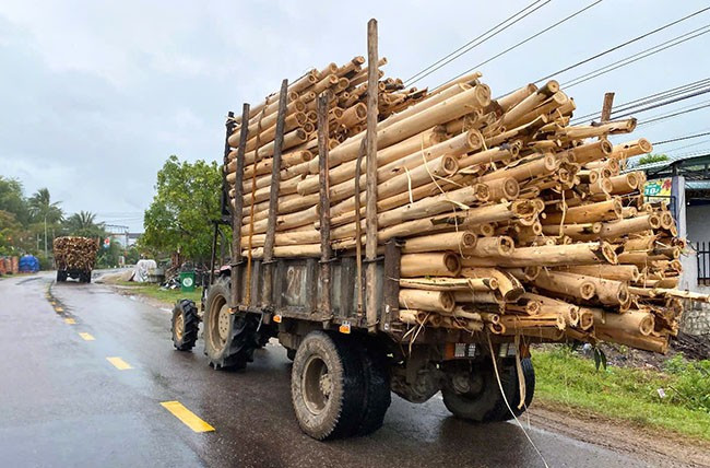 Hai xe độ chế vận chuyển gỗ chạy nối đuôi nhau trên QL 19C (đoạn qua địa bàn thị trấn Vân Canh, huyện Vân Canh) vào chiều 10.3. Ảnh: N.C