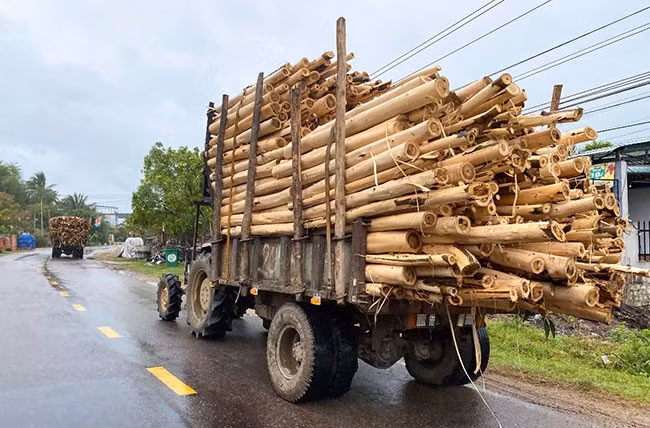 Hai xe độ chế vận chuyển gỗ chạy nối đuôi nhau trên QL 19C (đoạn qua địa bàn thị trấn Vân Canh, huyện Vân Canh) vào chiều 10.3. Ảnh: N.C