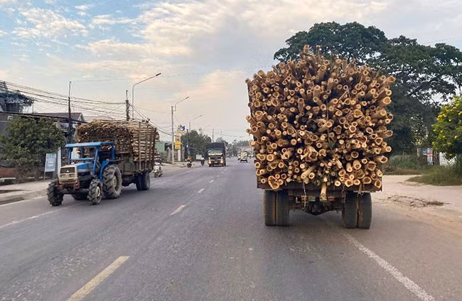 Hai xe máy cày gắn rơ moóc vận chuyển gỗ trên QL 19 (đoạn qua thôn Thọ Lộc 1, xã Nhơn Thọ, TX An Nhơn) vào chiều 10.4. Ảnh: N.C