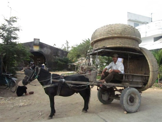 Hình ảnh chiếc xe ngựa gõ nhịp trên đường như một nét đẹp văn hóa riêng, cần được gìn giữ và trân trọng. Hình ảnh chiếc xe ngựa gõ nhịp trên đường như một nét đẹp văn hóa riêng, cần được gìn giữ và trân trọng.