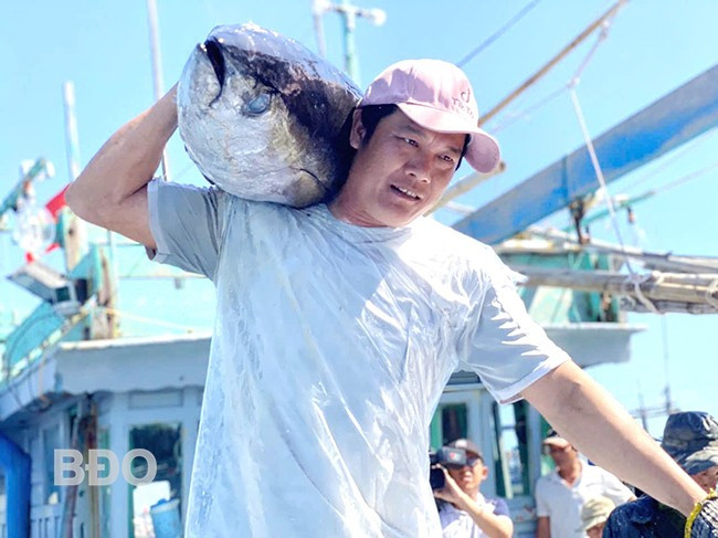 Đưa cá ngừ đại dương từ tàu lên cảng cá Tam Quan. Ảnh: V.L Đưa cá ngừ đại dương từ tàu lên cảng cá Tam Quan. Ảnh: V.L