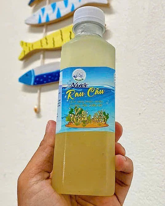 Ảnh: B.NGHĨA Ảnh: B.NGHĨA