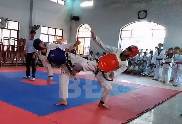 Các võ sinh ở các CLB Teakwondo Hoài Nhơn luôn được tạo cơ hội thi đấu cọ xát, nâng cao trình độ chuyên môn.
