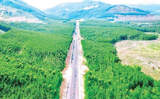 Tuyến đường kết nối từ QL19 đến Khu công nghiệp Becamex VSIP Bình Định vừa được khánh thành tháng 3.2025. Ảnh: HẢI YẾN Tuyến đường kết nối từ QL19 đến Khu công nghiệp Becamex VSIP Bình Định vừa được khánh thành tháng 3.2025. Ảnh: HẢI YẾN