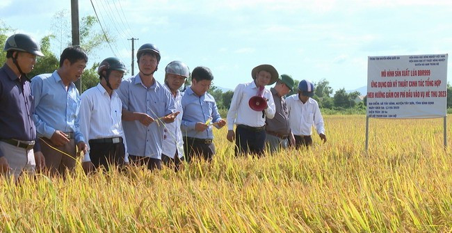 Nông dân và đại biểu tham quan mô hình. Ảnh: Đ.N