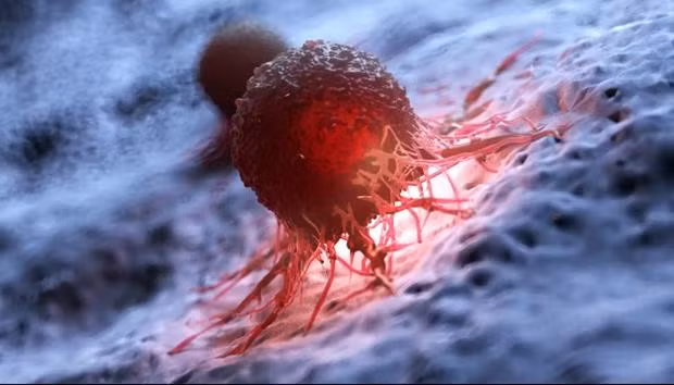 Ảnh minh họa. (Nguồn: The Conversation/Ảnh chụp màn hình)