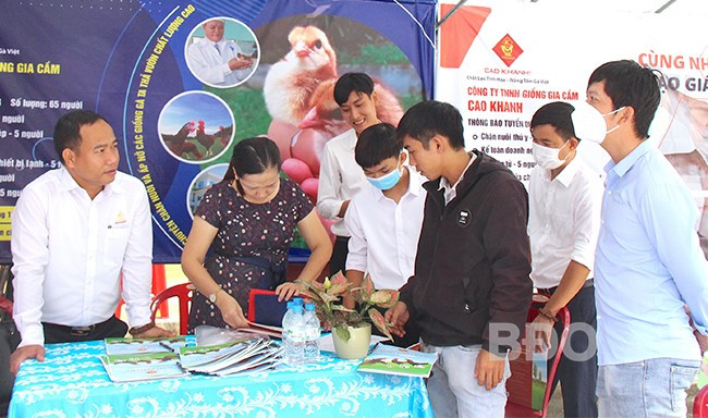 Sinh viên Trường CĐ Kỹ thuật Công nghệ Quy Nhơn ứng tuyển với DN tại Ngày hội việc làm tổ chức tháng 9.2022. Ảnh: N.M Sinh viên Trường CĐ Kỹ thuật Công nghệ Quy Nhơn ứng tuyển với DN tại Ngày hội việc làm tổ chức tháng 9.2022. Ảnh: N.M