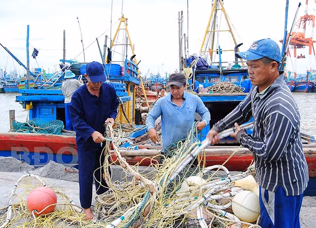 Ngư dân tàu giã cào phường Trần Phú (TP Quy Nhơn) chuẩn bị ngư lưới cụ ra khơi. Ngư dân tàu giã cào phường Trần Phú (TP Quy Nhơn) chuẩn bị ngư lưới cụ ra khơi.