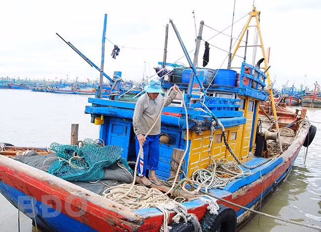 Tàu giã cào của ngư dân phường Trần Phú (TP Quy Nhơn) chuẩn bị ra khơi. Tàu giã cào của ngư dân phường Trần Phú (TP Quy Nhơn) chuẩn bị ra khơi.