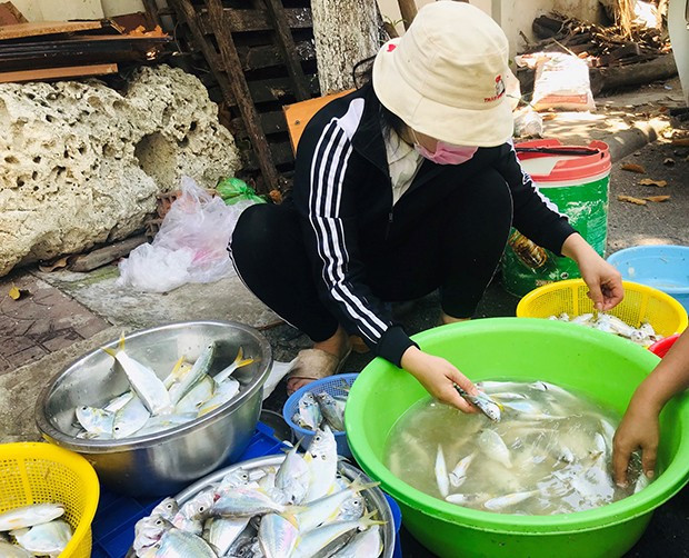 Chị Nguyễn Thị Oanh đang phân loại cá để giao cho mối quen. Ảnh: THÀNH NGUYÊN Chị Nguyễn Thị Oanh đang phân loại cá để giao cho mối quen. Ảnh: THÀNH NGUYÊN