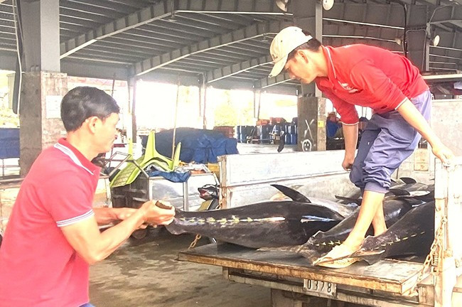 Trong năm 2025, ngành Nông nghiệp sẽ thực hiện mô hình tổ chức liên kết, liên doanh sản xuất, thương mại theo chuỗi giá trị nhằm nâng cao chất lượng sản phẩm thủy sản. Ảnh: N.N