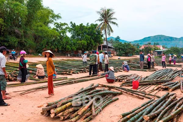 Chợ tre An Lương ở xã Mỹ Chánh, huyện Phù Mỹ nhóm vào các ngày mùng 3, 8, 13, 18, 23, 28 âm lịch hàng tháng; bày bán tre và các sản phẩm từ tre. Ảnh: NGUYỄN SA HUỲNH