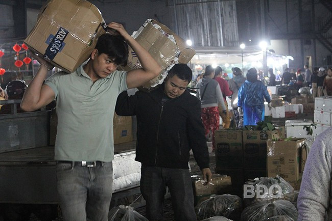 Mặc dù giữa khuya lạnh nhưng tại điểm trung chuyển, tập kết trái cây ở khu dân cư Bắc Ngô Gia Tự (phường Bình Định, TX An Nhơn) những người bốc vác làm việc tràn đầy năng lượng.