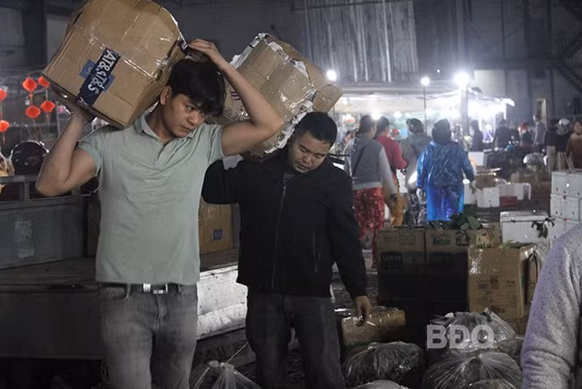 Mặc dù giữa khuya lạnh nhưng tại điểm trung chuyển, tập kết trái cây ở khu dân cư Bắc Ngô Gia Tự (phường Bình Định, TX An Nhơn) những người bốc vác làm việc tràn đầy năng lượng.