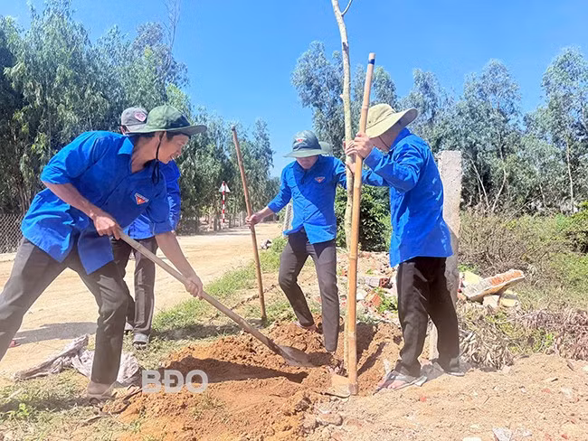 ĐVTN trồng cây bằng lăng dọc tuyến đường thôn Tân Phụng 2. Ảnh: Đoàn Thanh niên Mỹ Thọ.