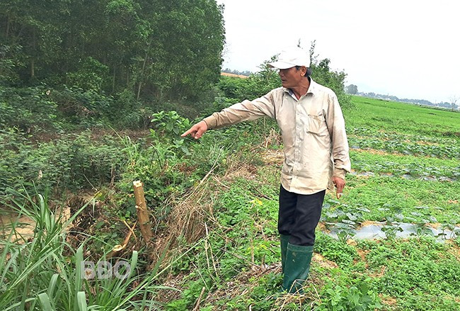 Ông Nguyễn Trung Thành chỉ tay về phía bờ sông bị sạt lở đang tiến sát vào đám ruộng của gia đình ông canh tác. Ảnh: VĂN LƯU Ông Nguyễn Trung Thành chỉ tay về phía bờ sông bị sạt lở đang tiến sát vào đám ruộng của gia đình ông canh tác. Ảnh: VĂN LƯU