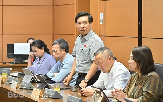 ĐB Nguyễn Văn Cảnh đề nghị cần làm rõ thuật ngữ “vì động cơ đê hèn”. Ảnh: Đoàn ĐBQH tỉnh