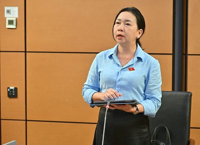 ĐB Lý Tiết Hạnh kiến nghị cần có chính sách đãi ngộ tốt hơn cho giáo viên mầm non tại vùng sâu, vùng xa, vùng đặc biệt khó khăn. Ảnh: Đoàn ĐBQH tỉnh