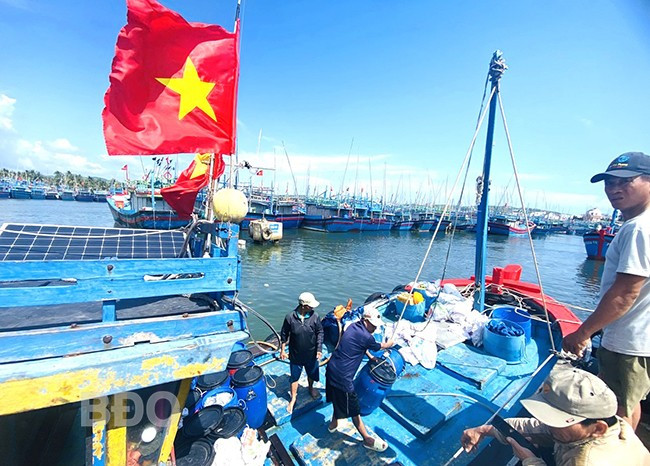 Ban quản lý Cảng cá và Dịch vụ đô thị TX Hoài Nhơn kiểm soát chặt chẽ số lượng hải sản các tàu cá đưa lên bờ. Ảnh: N.N Ban quản lý Cảng cá và Dịch vụ đô thị TX Hoài Nhơn kiểm soát chặt chẽ số lượng hải sản các tàu cá đưa lên bờ. Ảnh: N.N