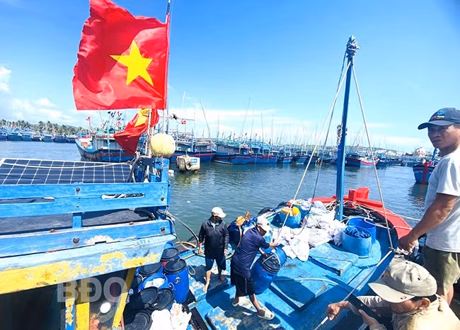 Ban quản lý Cảng cá và Dịch vụ đô thị TX Hoài Nhơn kiểm soát chặt chẽ số lượng hải sản các tàu cá đưa lên bờ. Ảnh: N.N