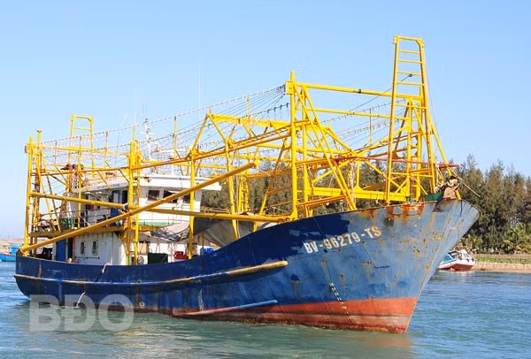 Tàu cá làm nghề mành chụp của ngư dân xã Cát Khánh (Phù Cát) ra khơi. Tàu cá làm nghề mành chụp của ngư dân xã Cát Khánh (Phù Cát) ra khơi.