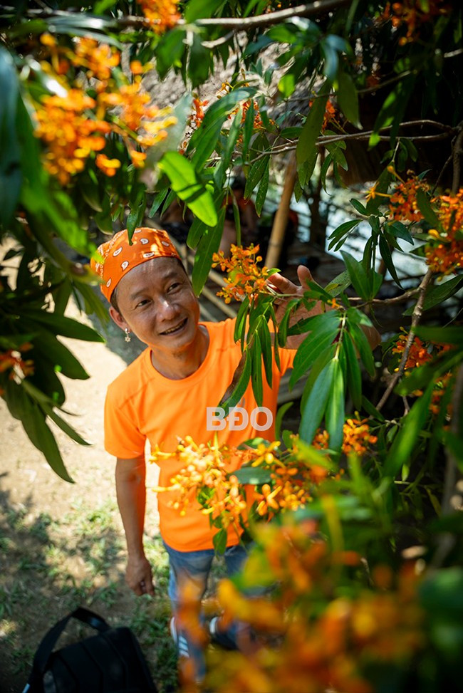 Du khách chụp ảnh với hoa trang rừng. Ảnh: DŨNG NHÂN